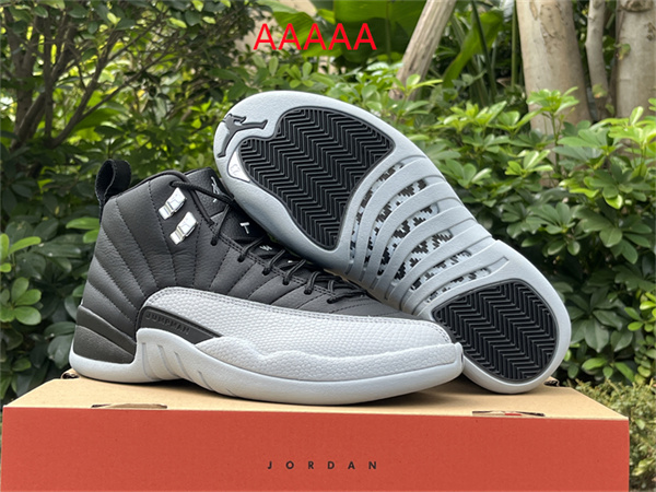 Jordan12(AAAAA)-M-0024