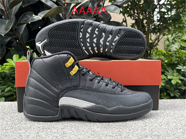 Jordan12(AAAAA)-M-0026