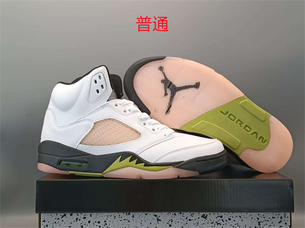 Jordan5-M-0071