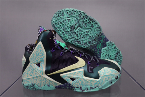Lebron James 11-M-002