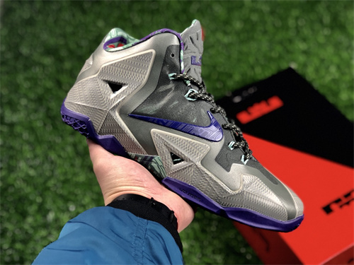 Lebron James 11-M-008