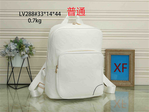 LV bag-0120