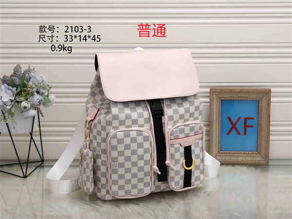 LV bag-0193