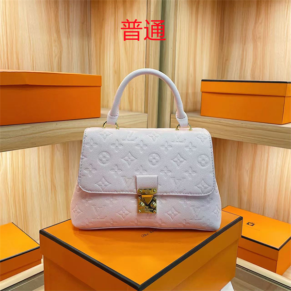 LV bag-0246
