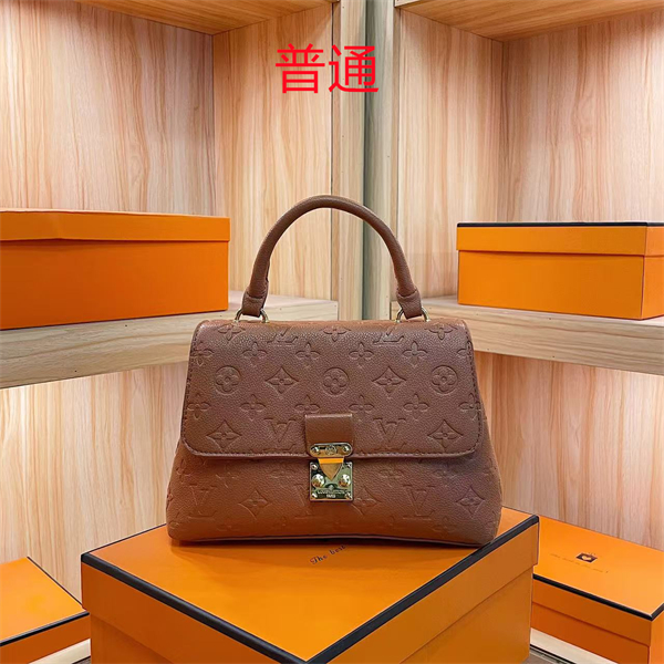 LV bag-0249