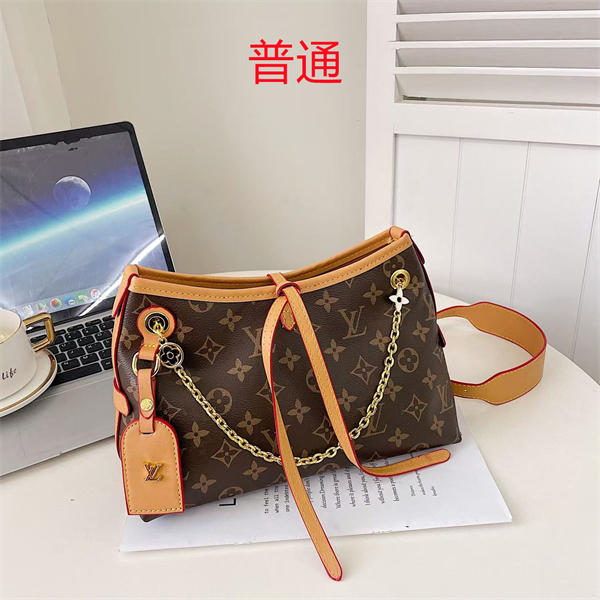 LV bag-0252