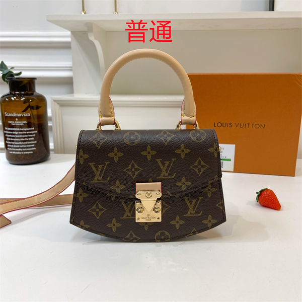 LV bag-0352