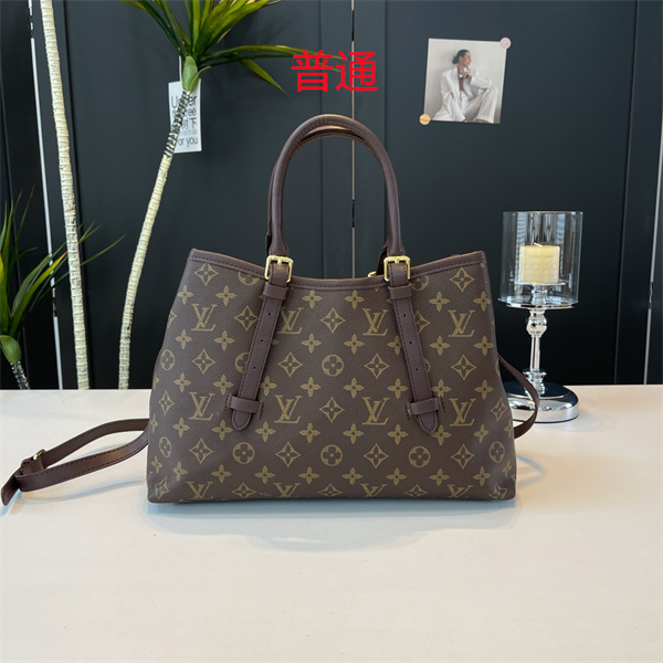 LV bag-0574
