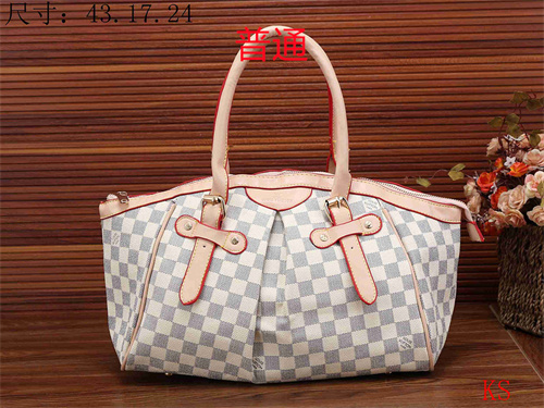 LV bag-0062