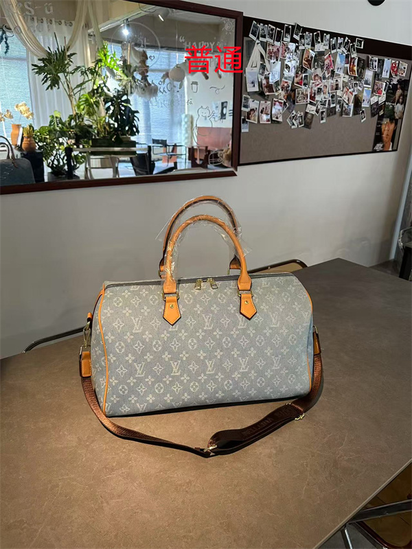 LV bag-0850