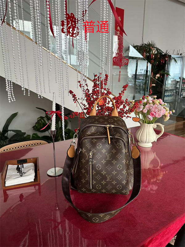 LV bag-0879