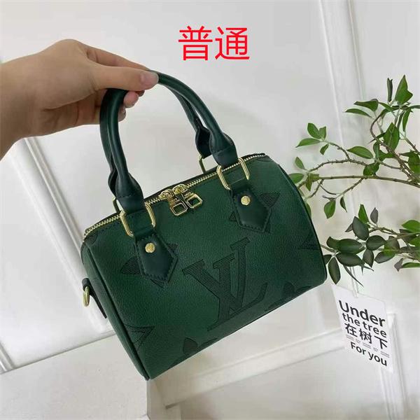 LV small bag-1088
