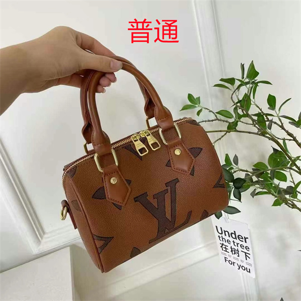 LV small bag-1089