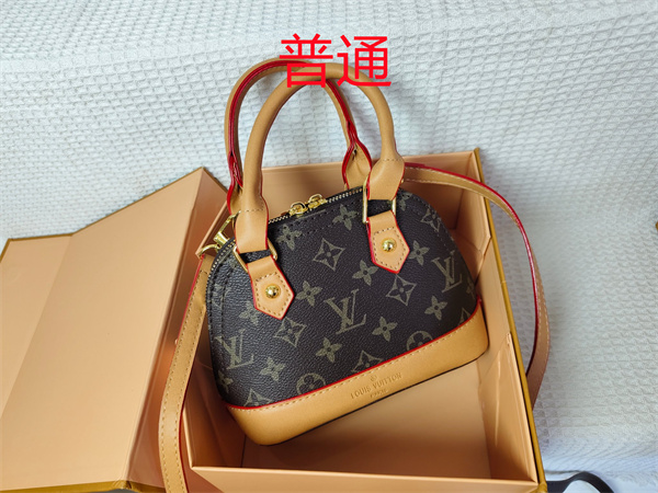 LV small bag-1094