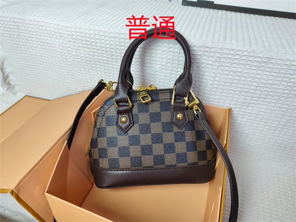 LV small bag-1095