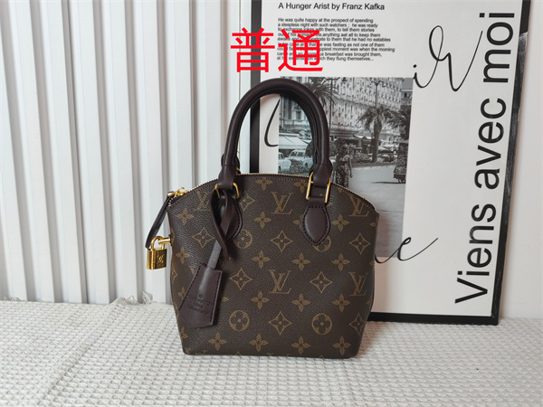 LV small bag-1153
