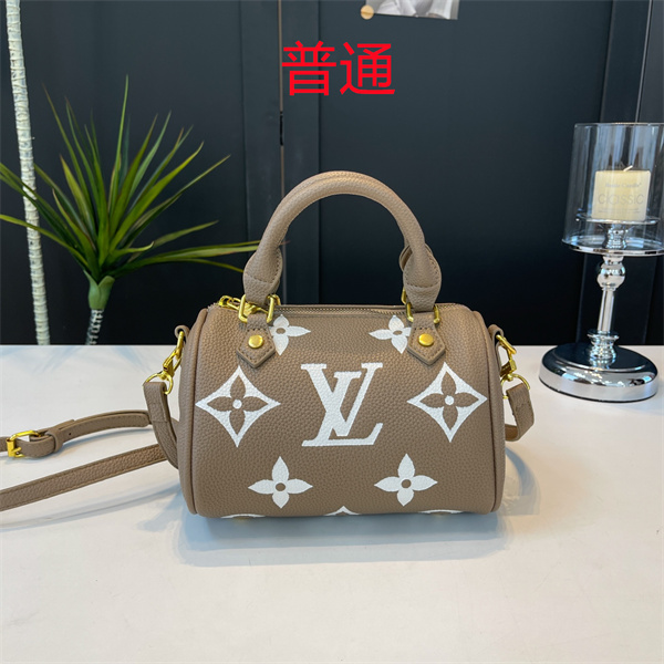 LV small bag-1189