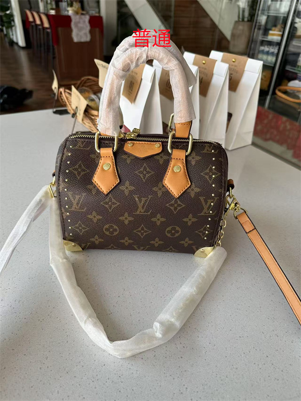 LV small bag-1393