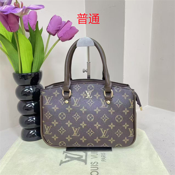 LV small bag-1455