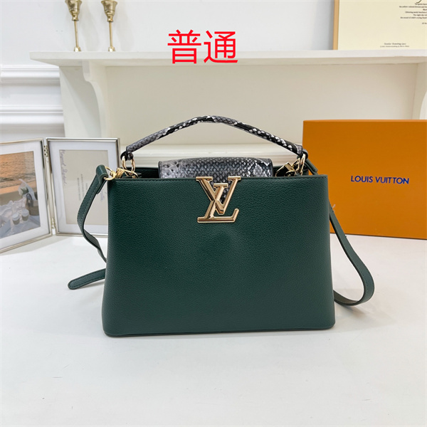 LV small bag-1569