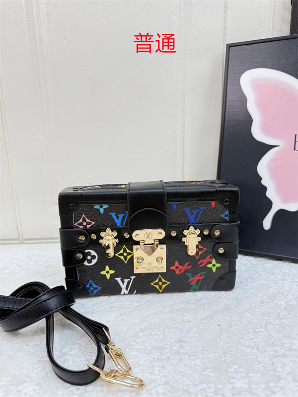 LV small bag-2343