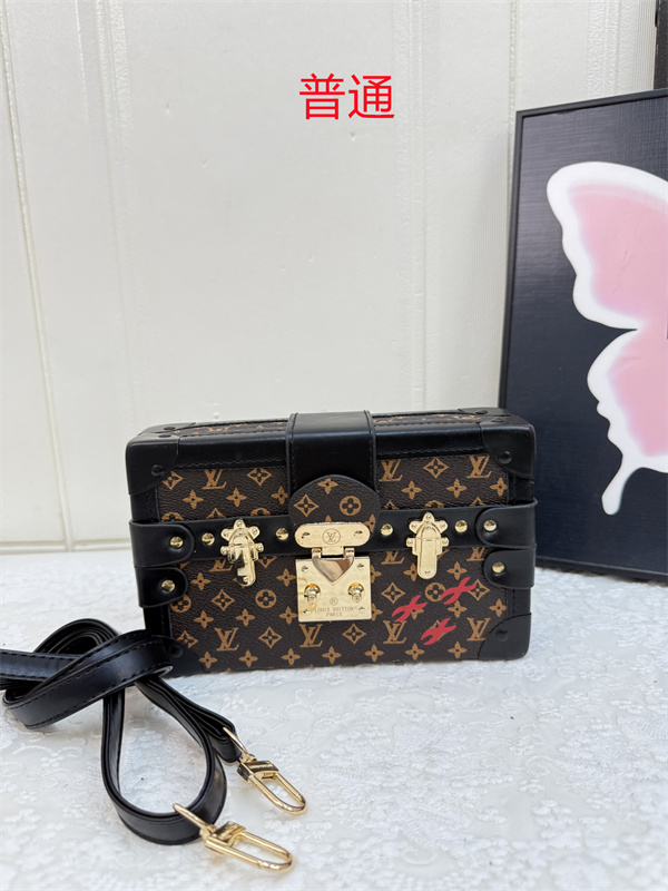 LV small bag-2344