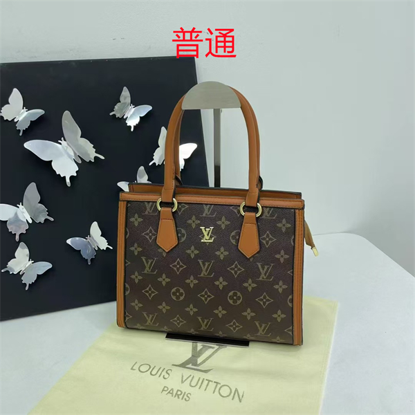 LV small bag-0584
