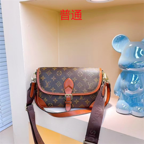 LV small bag-0662