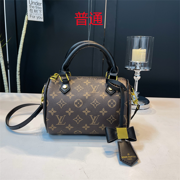 LV small bag-0673