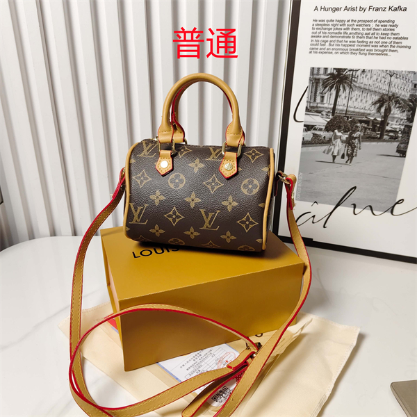 LV small bag-0691