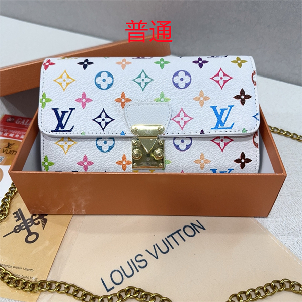 LV small bag-0695