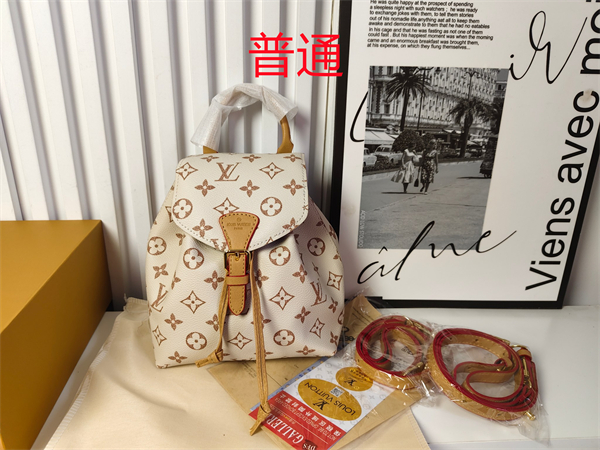 LV small bag-0742