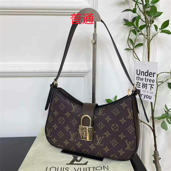 LV small bag-0860