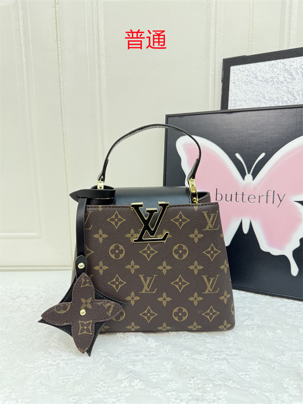 LV small bag-0955