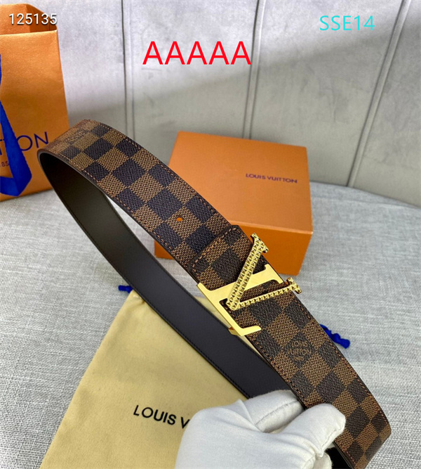LV(AAAAA)Belt-0173