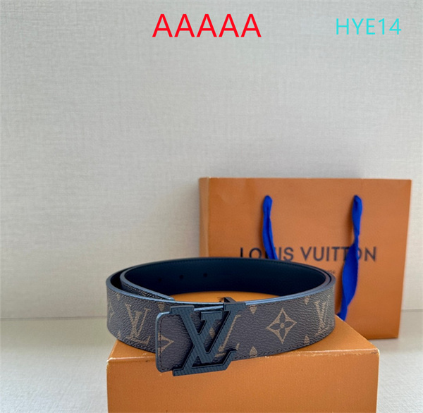 LV(AAAAA)Belt-0072