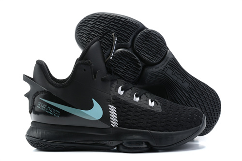 Lebron Witness 5-018