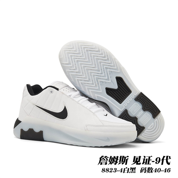 Nike LeBron Witness 9-0004