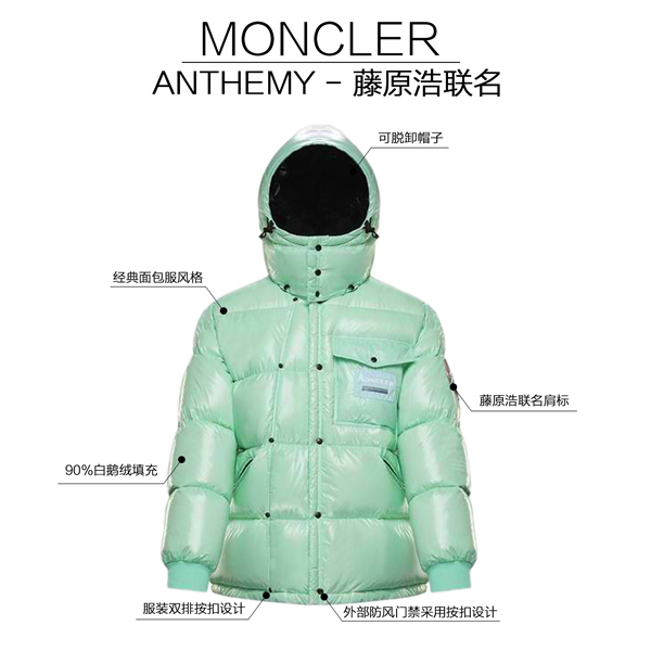 Moncler Down Jacket-M-137