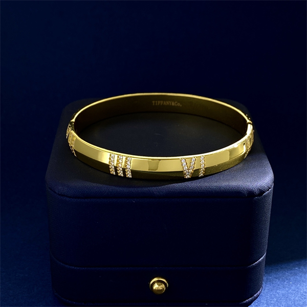 Tiffany Bracelet&Bangle-052