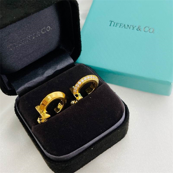 Tiffany Earrings-035