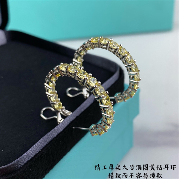 Tiffany Earrings-065