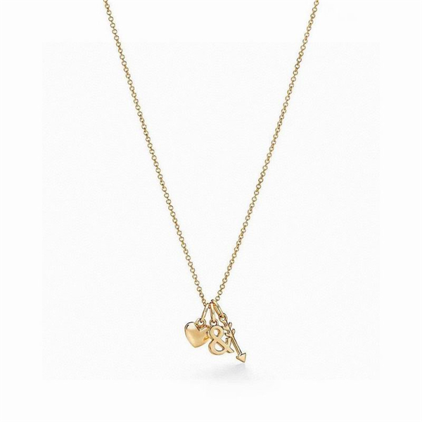 Tiffany Necklace-134
