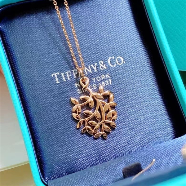 Tiffany Necklace-158