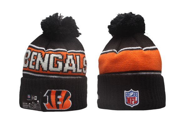NFL Beanies(2)-0136
