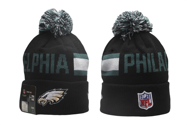 NFL Beanies(2)-0162