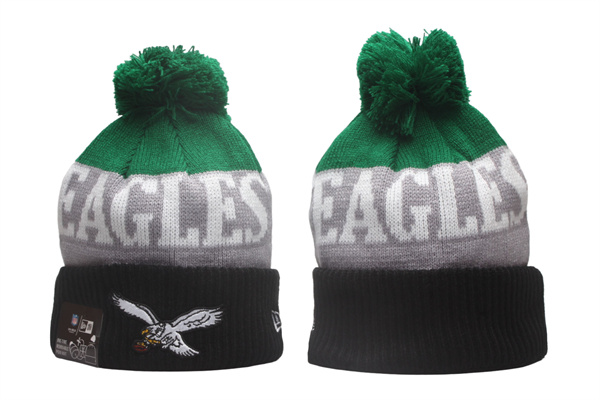 NFL Beanies(2)-0178