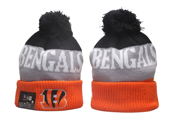 NFL Beanies(2)-0187
