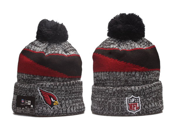 NFL Beanies(2)-0098