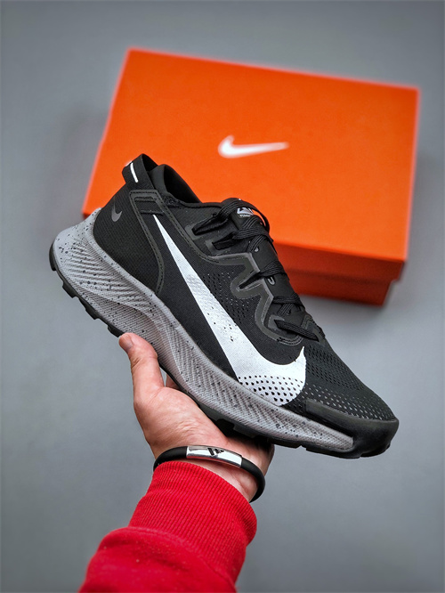 Nike Zoom Pegasus-W-014